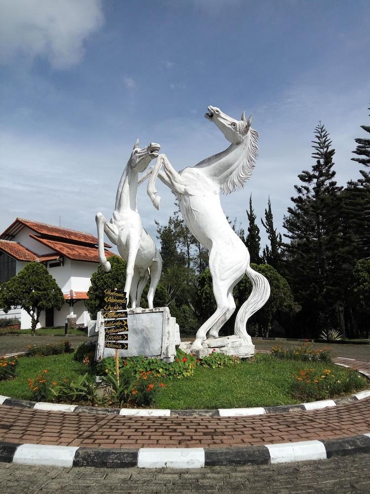 Berlian Resort Cipanas  Exterior photo
