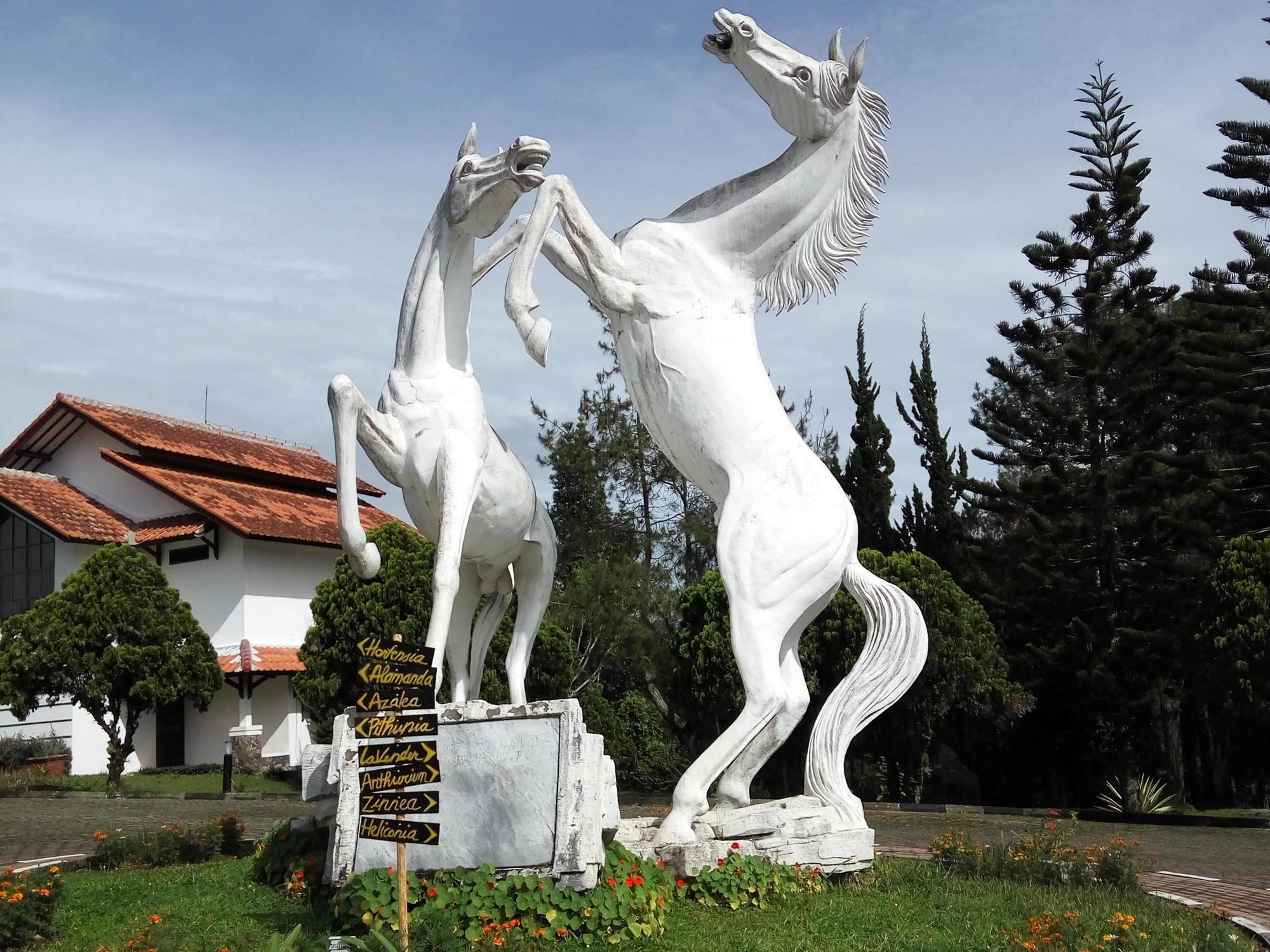 Berlian Resort Cipanas  Exterior photo